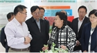 市委副書記、代市長艾麗華來我公司考察、調(diào)研