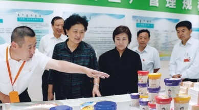 原中共中央政治局委員、國(guó)務(wù)院副總理劉延?xùn)|視察我公司